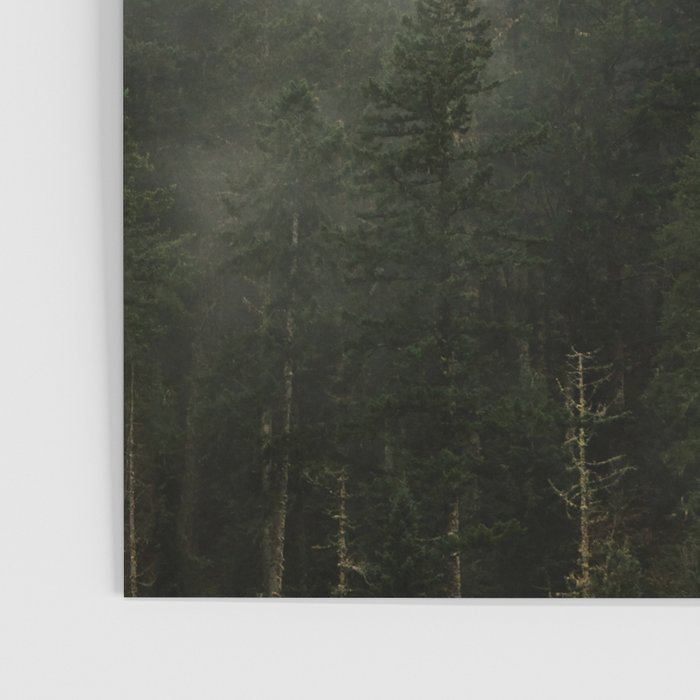 Pacific Northwest Foggy Forest Poster Gallery Image 3