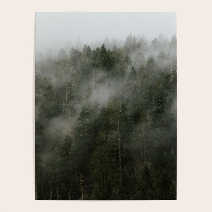 Pacific Northwest Foggy Forest Poster Gallery Image 4