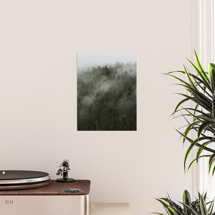 Pacific Northwest Foggy Forest Poster Gallery Image 2