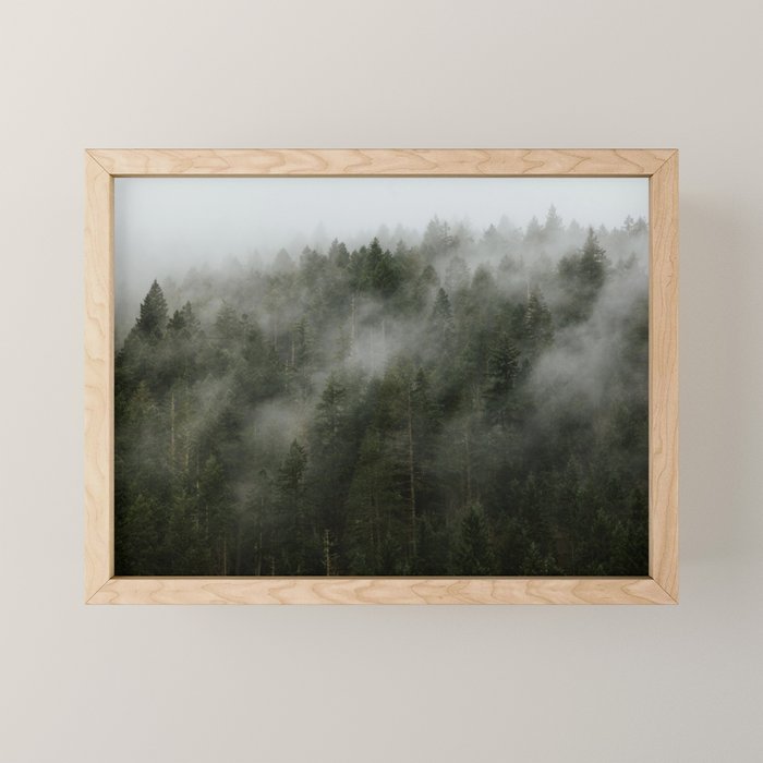Pacific Northwest Foggy Forest Mini Art Print Gallery Image 1
