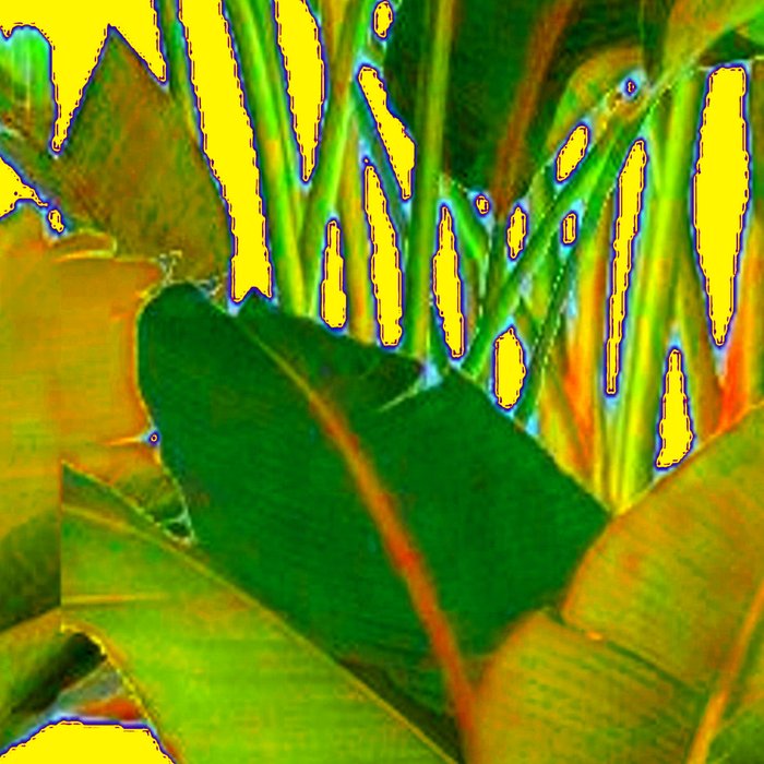 GOLDEN TROPICAL FOLIAGE GREEN & GOLD LEAVES AR Coffee Mug Gallery Image 2