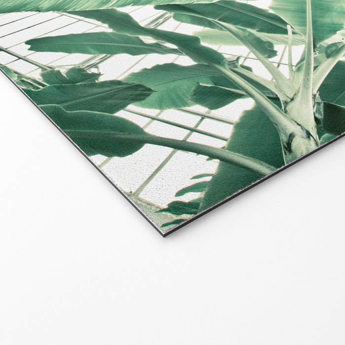 Tropical Greenhouse #2 Welcome Mat Gallery Image 2