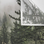 Pacific Northwest Forest River - 24/365 Wall Tapestry Gallery Image 3