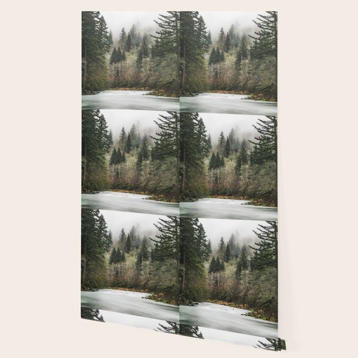 Pacific Northwest Forest River - 24/365 Wallpaper Gallery Image 2