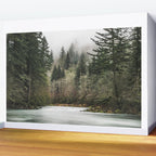 Pacific Northwest Forest River - 24/365 Wall Mural Gallery Image 2