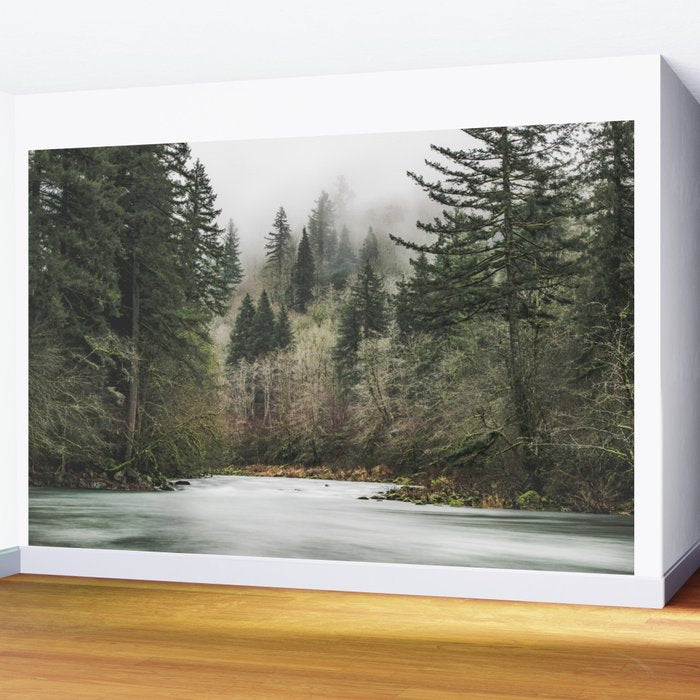 Pacific Northwest Forest River - 24/365 Wall Mural Gallery Image 2