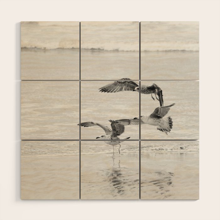 Seagulls Beach Ocean Wood Wall Art Gallery Image 1