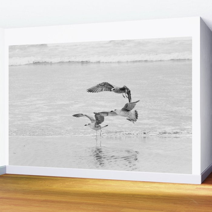 Seagulls Beach Ocean Wall Mural Gallery Image 2