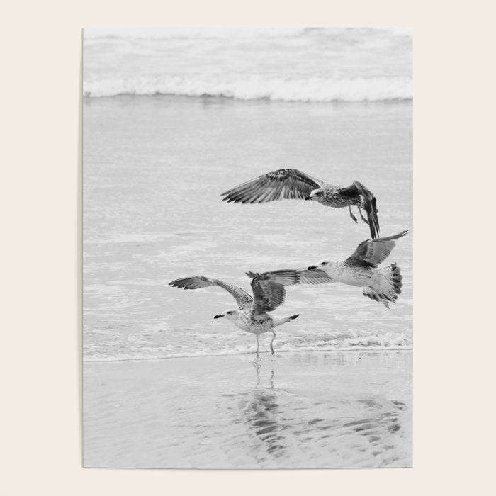 Seagulls Beach Ocean Poster Gallery Image 4