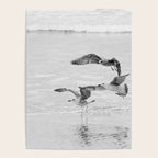 Seagulls Beach Ocean Poster Gallery Image 4