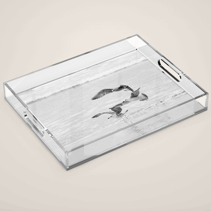Seagulls Beach Ocean Acrylic Tray Gallery Image 1