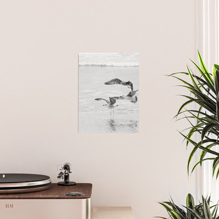 Seagulls Beach Ocean Poster Gallery Image 2