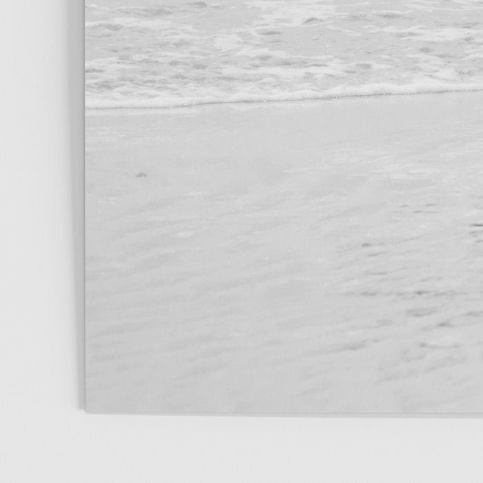 Seagulls Beach Ocean Poster Gallery Image 3