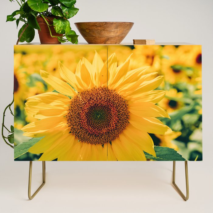Happy Little Sunflowers Credenza Gallery Image 1