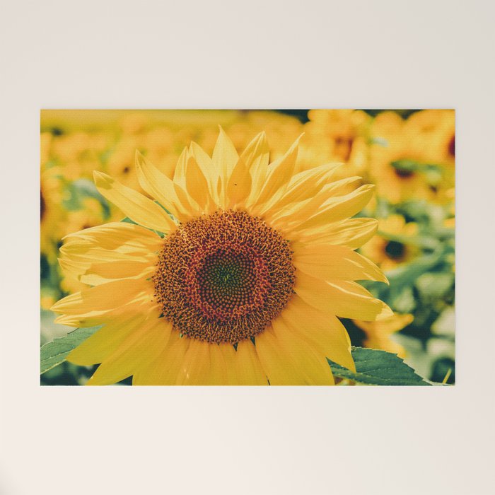 Happy Little Sunflowers Welcome Mat Gallery Image 1