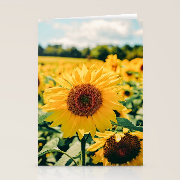 Happy Little Sunflowers Stationery Card Gallery Image 2