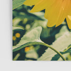 Happy Little Sunflowers Poster Gallery Image 3