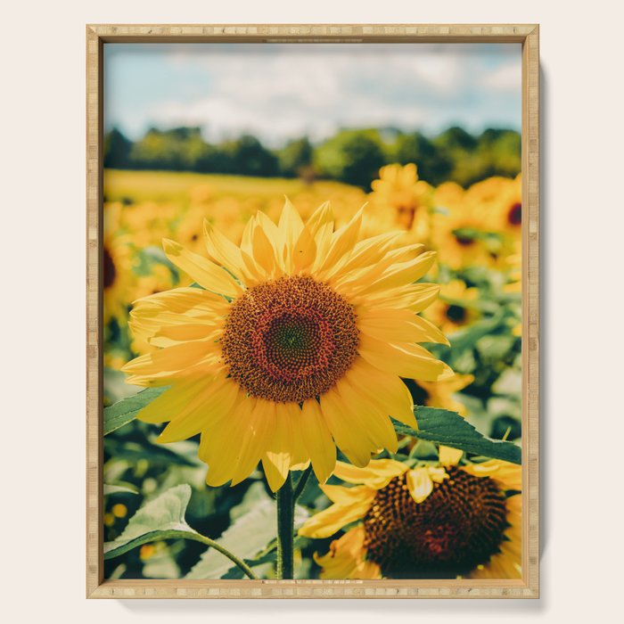 Happy Little Sunflowers Serving Tray Gallery Image 1