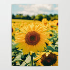 Happy Little Sunflowers Poster Gallery Image 4