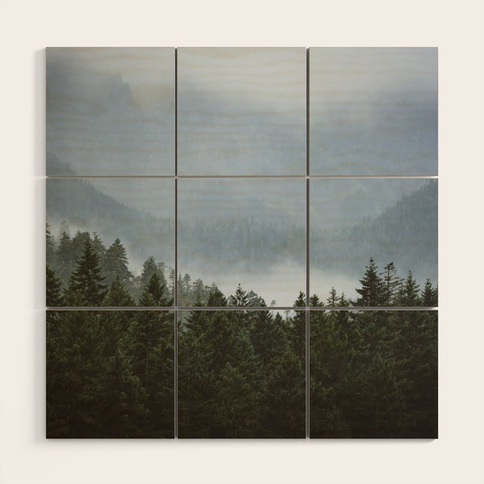 Olympic Mountain Adventures Wood Wall Art Gallery Image 1