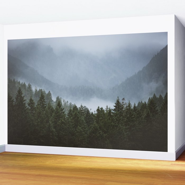 Olympic Mountain Adventures Wall Mural Gallery Image 2