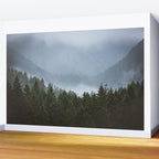 Olympic Mountain Adventures Wall Mural Gallery Image 2