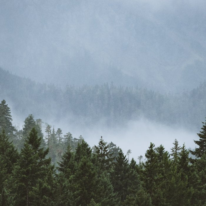 Olympic Mountain Adventures Coffee Mug Gallery Image 2