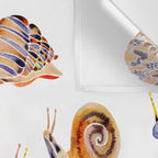 Snail Collection Wall Tapestry Gallery Image 3
