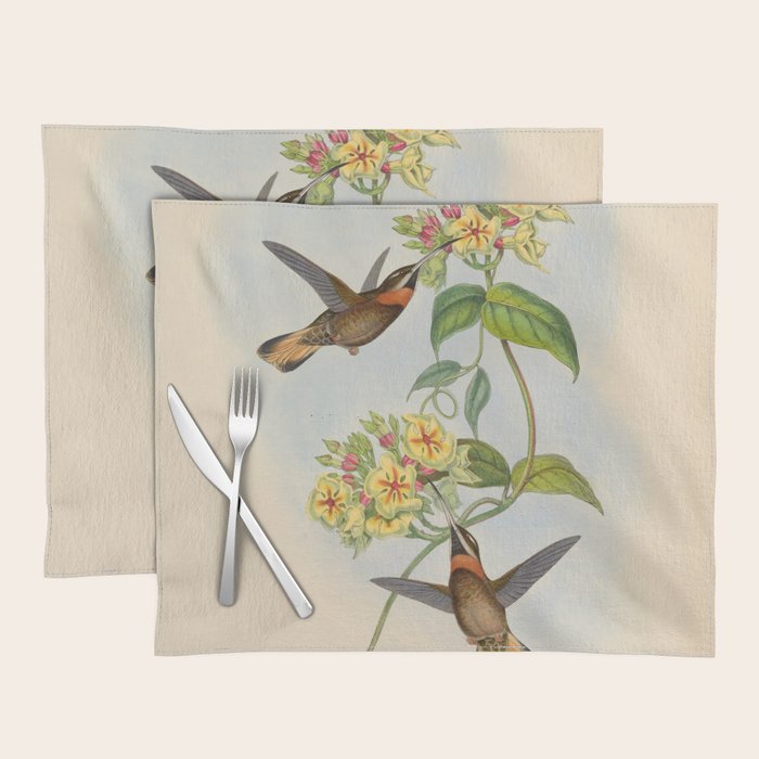 Pale-tailed Barbthroat Hummingbird by John Gould, 1861 (benefitting the Nature Conservancy) Placemat Gallery Image 1