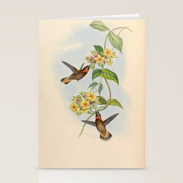 Pale-tailed Barbthroat Hummingbird by John Gould, 1861 (benefitting the Nature Conservancy) Stationery Card Gallery Image 2