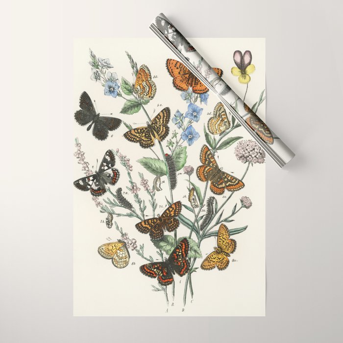 Vintage Scientific Illustration Butterfly Botanical Floral Lithograph Encyclopaedia Diagrams  Wrapping Paper Gallery Image 1