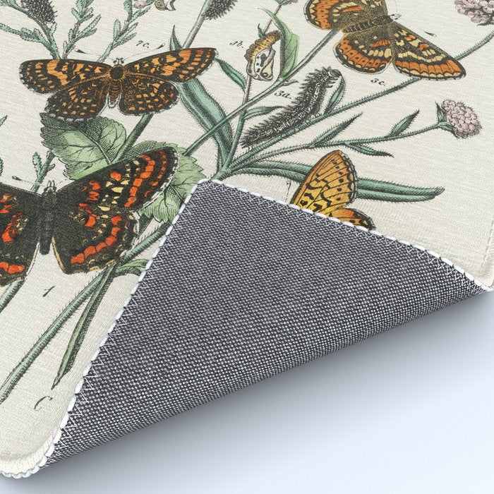 Vintage Scientific Illustration Butterfly Botanical Floral Lithograph Encyclopaedia Diagrams  Rug Gallery Image 4