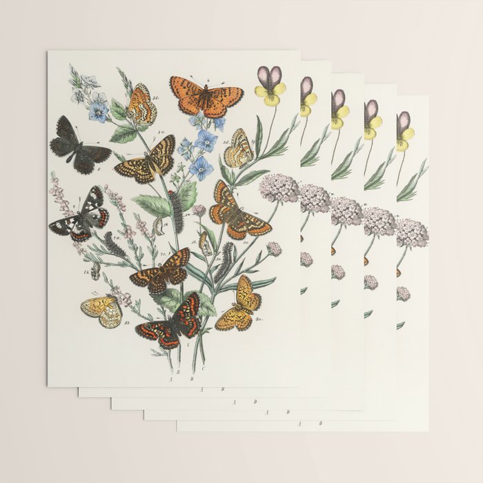 Vintage Scientific Illustration Butterfly Botanical Floral Lithograph Encyclopaedia Diagrams  Wrapping Paper Gallery Image 3