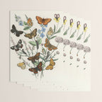 Vintage Scientific Illustration Butterfly Botanical Floral Lithograph Encyclopaedia Diagrams  Wrapping Paper Gallery Image 3