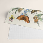 Vintage Scientific Illustration Butterfly Botanical Floral Lithograph Encyclopaedia Diagrams  Wrapping Paper Gallery Image 2