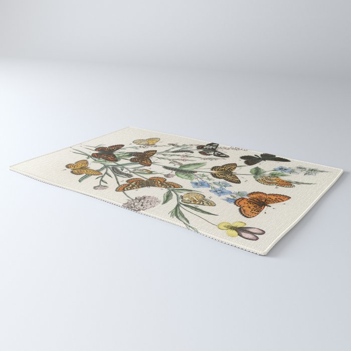 Vintage Scientific Illustration Butterfly Botanical Floral Lithograph Encyclopaedia Diagrams  Rug Gallery Image 3