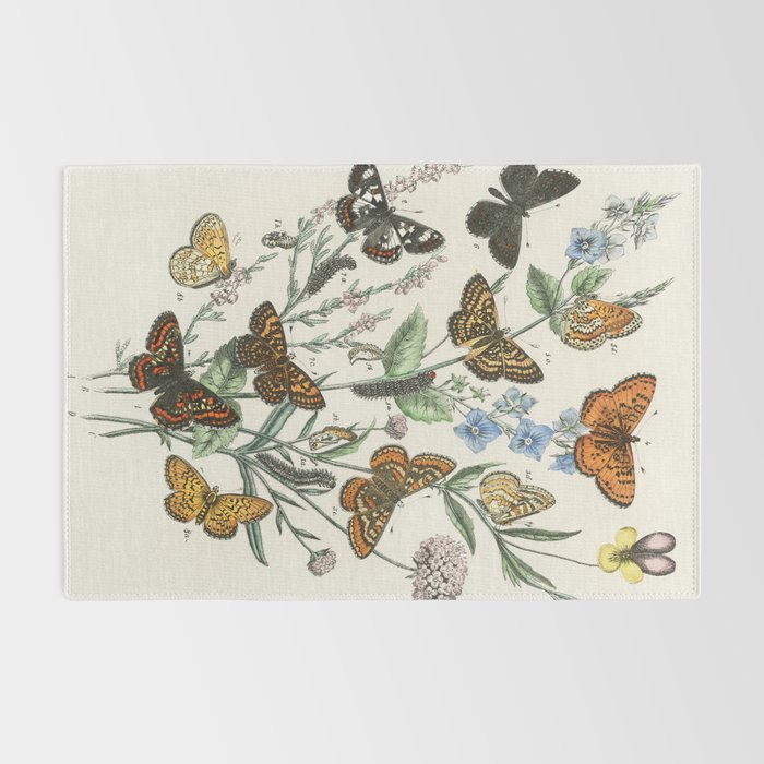 Vintage Scientific Illustration Butterfly Botanical Floral Lithograph Encyclopaedia Diagrams  Rug Gallery Image 2