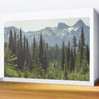 Escape to the Wilds - Nature Photography Wall Mural Gallery Image 2