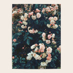 Secret Garden Poster Gallery Image 4
