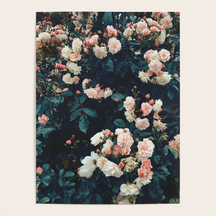Secret Garden Poster Gallery Image 1