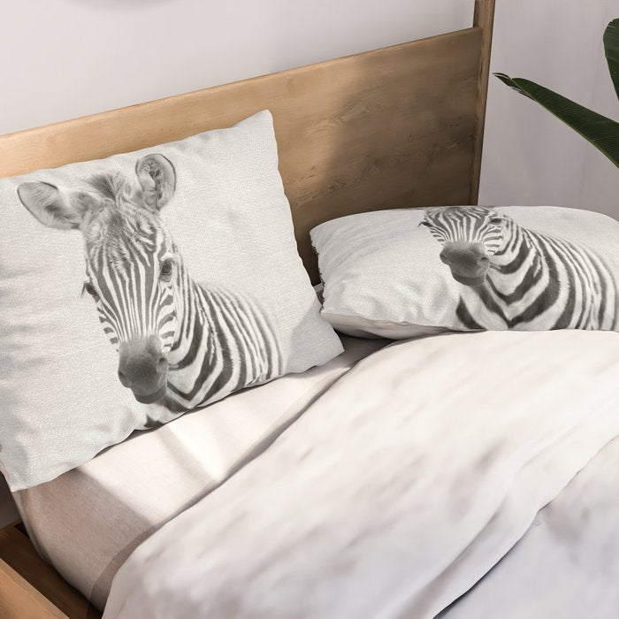 Baby Zebra - Black & White Pillow Sham Gallery Image 2
