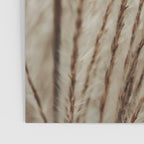 Neutral Botanical Abstract 2 x autumn plant photograph Poster Gallery Image 3