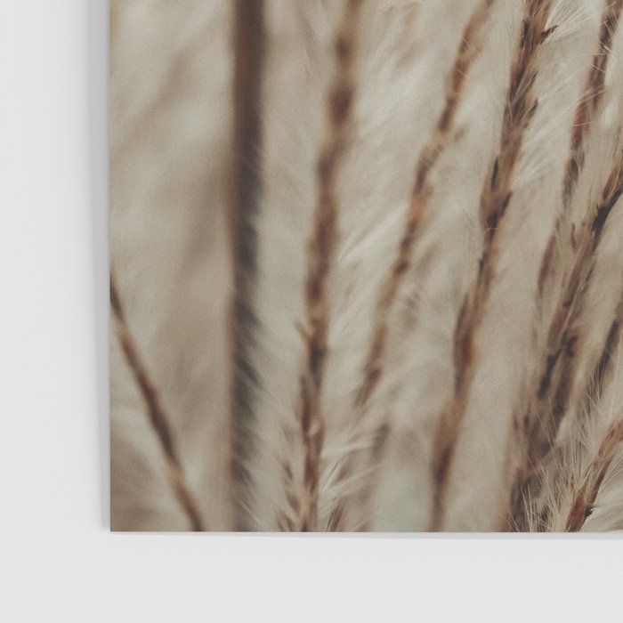 Neutral Botanical Abstract 2 x autumn plant photograph Poster Gallery Image 3