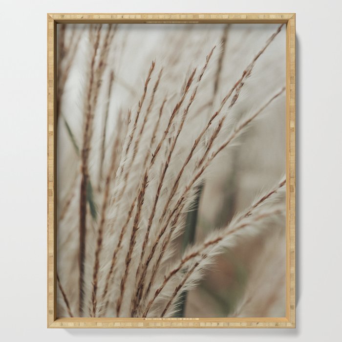 Neutral Botanical Abstract 2 x autumn plant photograph Serving Tray Gallery Image 1