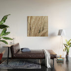 Neutral Botanical Abstract 2 x autumn plant photograph Wood Wall Art Gallery Image 2