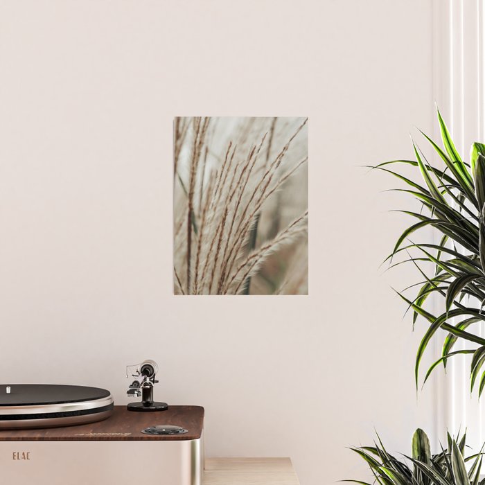 Neutral Botanical Abstract 2 x autumn plant photograph Poster Gallery Image 2