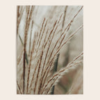 Neutral Botanical Abstract 2 x autumn plant photograph Poster Gallery Image 4