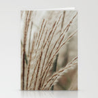 Neutral Botanical Abstract 2 x autumn plant photograph Stationery Card Gallery Image 2