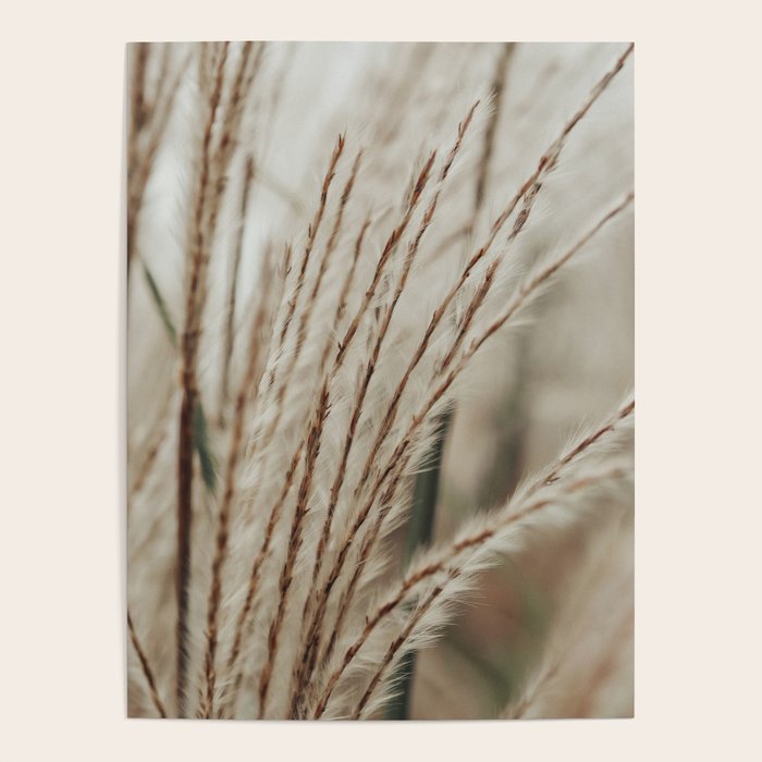 Neutral Botanical Abstract 2 x autumn plant photograph Poster Gallery Image 1