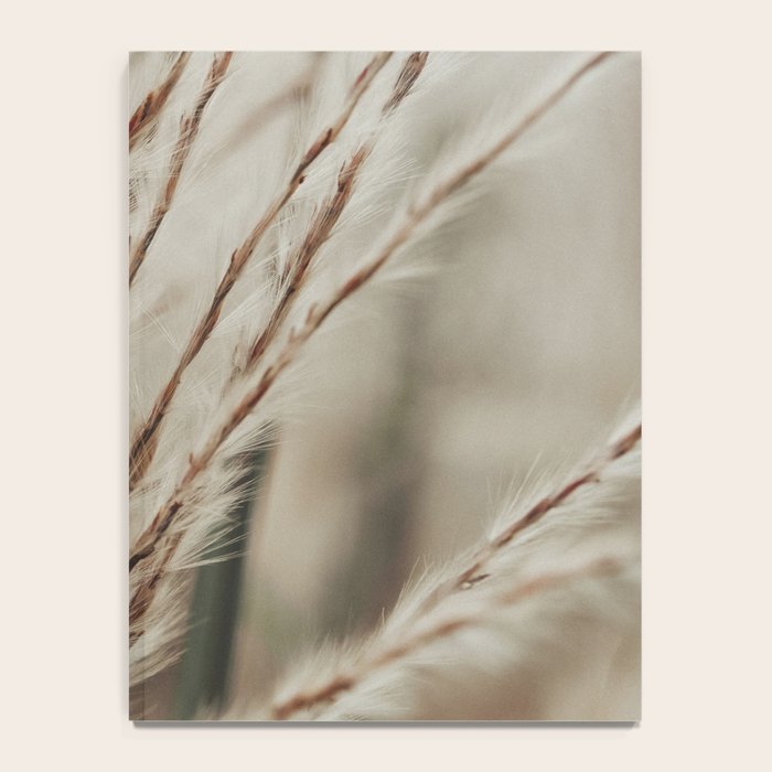 Neutral Botanical Abstract 2 x autumn plant photograph Notebook Gallery Image 4